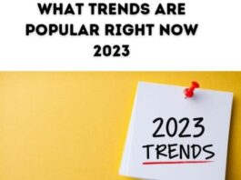 Popular Trends In 2023