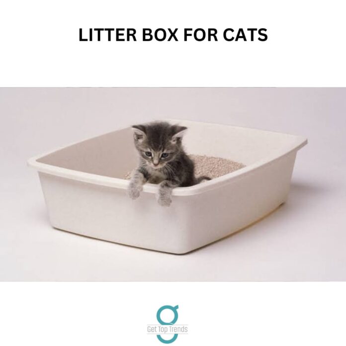 Litter Box For Cats