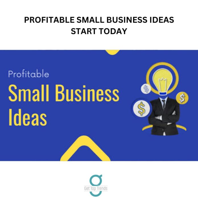Profitable Small Business Start Today