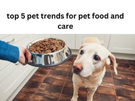 Top Trends For Pet Food And Care