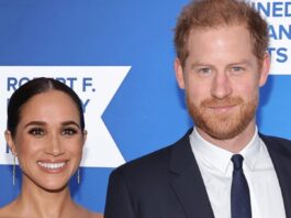 prince harry and meghan royal netflix film