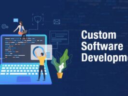 Custom Software Development Cost