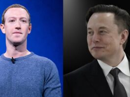 Musk vs. Mark Zuckerberg Meta creator Twitter CEO
