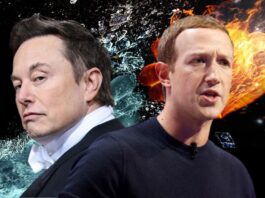 Musk with Zuckerberg