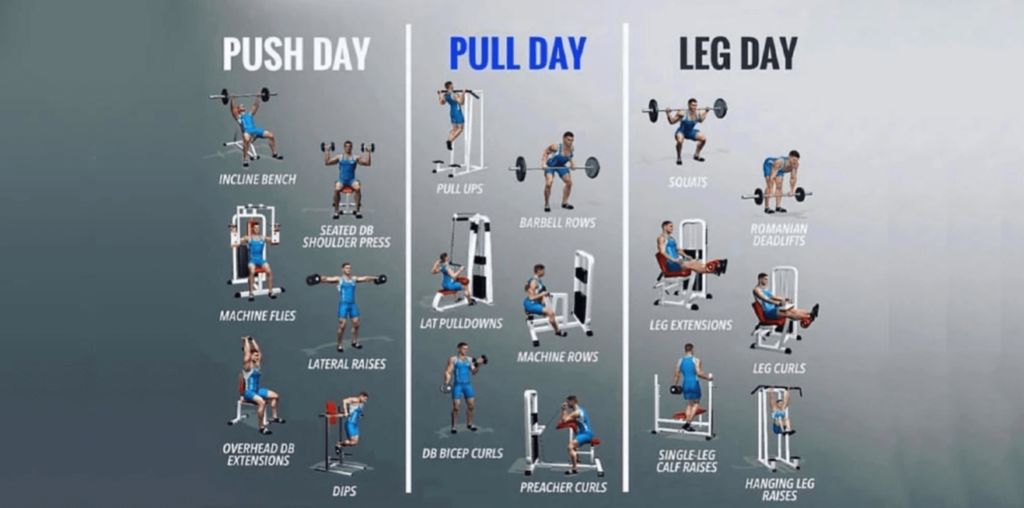 What is Push Pull Legs Split