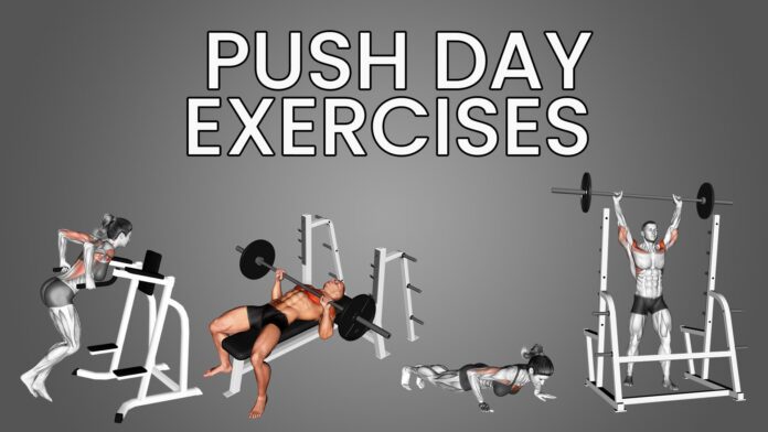 push day exercises