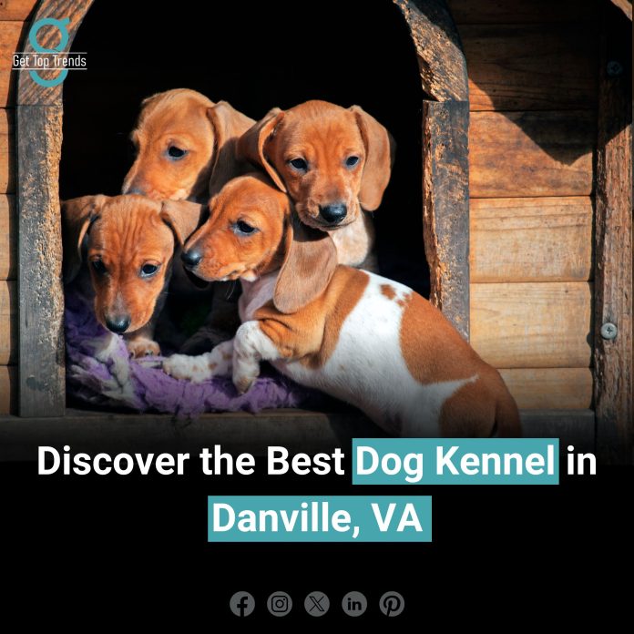 Best Dog Kennel in Danville, VA