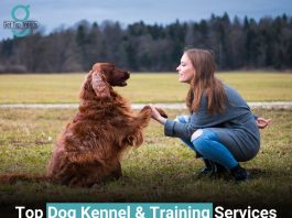 Dog Kennel & Training Services in Danville