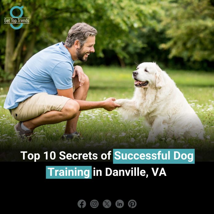 Professional Dog Training Services in Danville