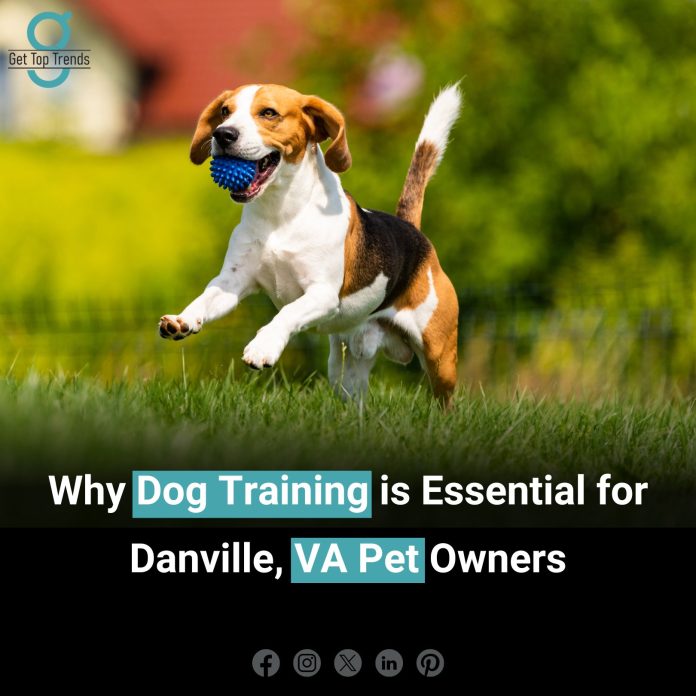 Dog Training in Danville, VA