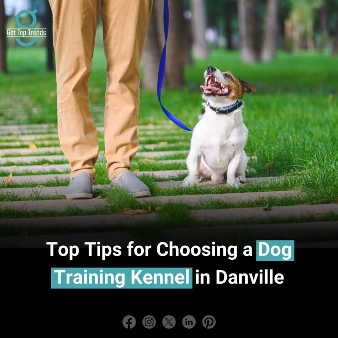 Dog Training Kennel in Danville