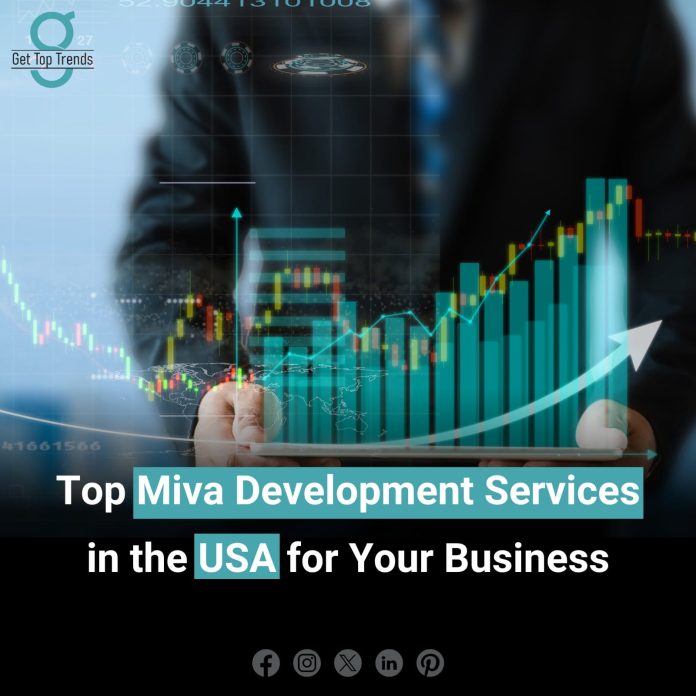 Miva Development Se­rvices in USA