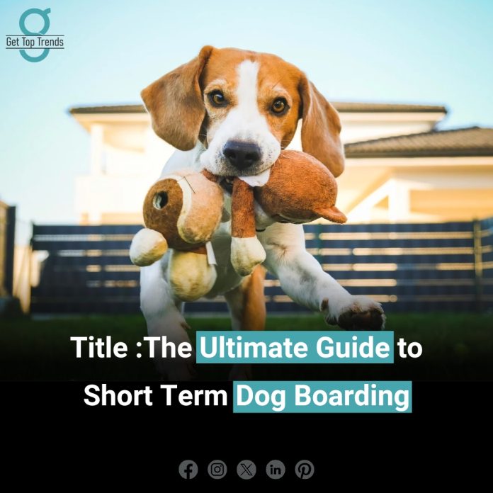 short term dog boarding