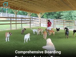 Long-Term Dog Boarding Farm