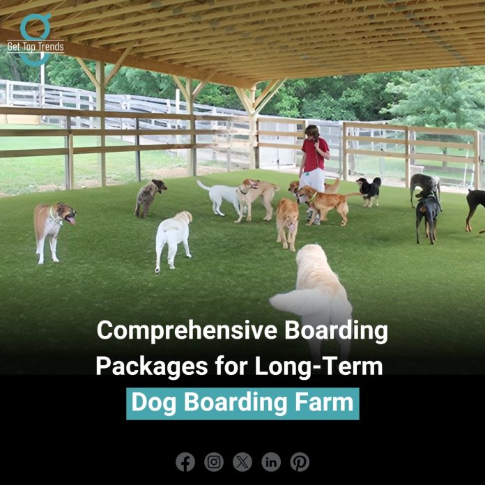 Long-Term Dog Boarding Farm