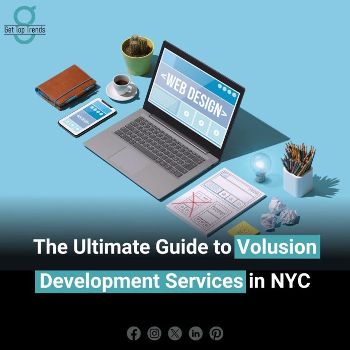 Volusion Development Services in NYC